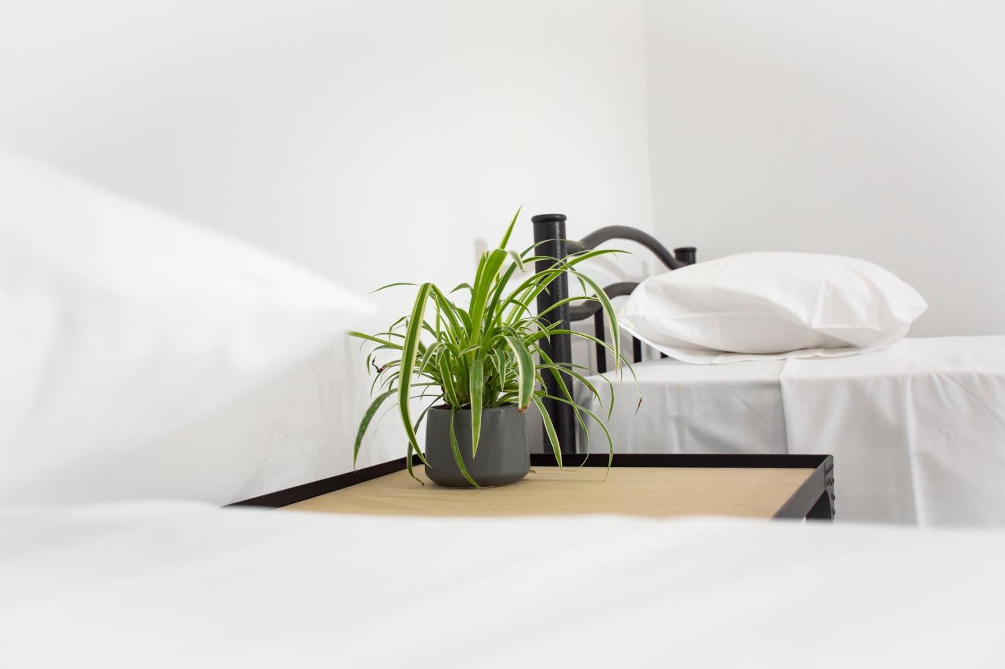 Christina Apartment キサモス エクステリア 写真